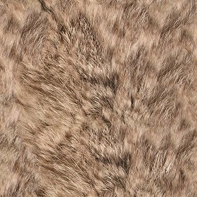 Textures   -   MATERIALS   -  FUR ANIMAL - Faux fake fur animal texture seamless 09559