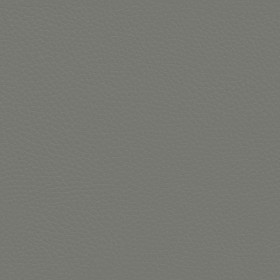 Textures   -   MATERIALS   -   LEATHER  - Leather texture seamless 09595 - Specular