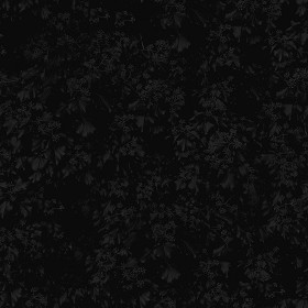 Textures   -   NATURE ELEMENTS   -   VEGETATION   -   Hedges  - green hedge PBR texture seamless 22095 - Specular
