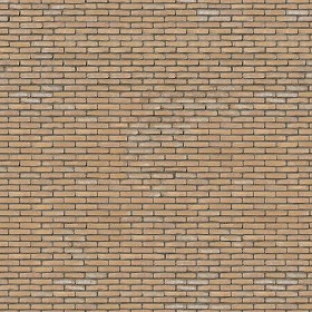 Textures   -   ARCHITECTURE   -   BRICKS   -   Old bricks  - Old bricks texture seamless 00424 (seamless)