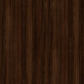 Textures   -   ARCHITECTURE   -   WOOD   -   Fine wood   -  Dark wood - Dark wood fine texture seamless 04282