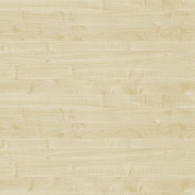 Textures   -   ARCHITECTURE   -   WOOD   -   Fine wood   -  Light wood - Maple light wood fine texture seamless 04381