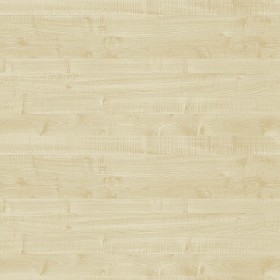 Textures   -   ARCHITECTURE   -   WOOD   -   Fine wood   -   Light wood  - Maple light wood fine texture seamless 04381 (seamless)