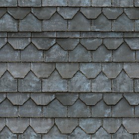Textures   -   ARCHITECTURE   -   ROOFINGS   -   Slate roofs  - Slate roofing texture seamless 03985 (seamless)