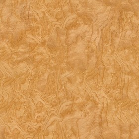Textures   -   ARCHITECTURE   -   WOOD   -   Fine wood   -  Medium wood - White ash burl wood medium color texture seamless 04488