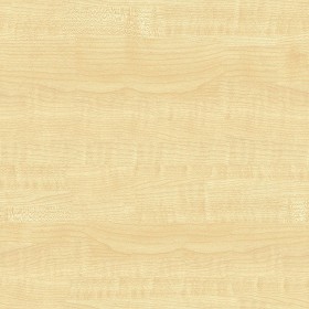 Textures   -   ARCHITECTURE   -   WOOD   -   Fine wood   -   Light wood  - Maple light wood fine texture seamless 04382 (seamless)