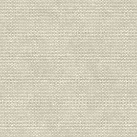 Textures   -   MATERIALS   -   FABRICS   -  Canvas - Canvas PBR texture seamless 21789