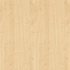 Textures   -   ARCHITECTURE   -   WOOD   -   Fine wood   -   Light wood  - Maple light wood fine texture seamless 04383 (seamless)