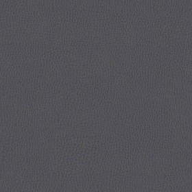 Textures   -   MATERIALS   -   LEATHER  - Leather texture seamless 09677 - Specular