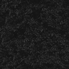 Textures   -   NATURE ELEMENTS   -   VEGETATION   -   Hedges  - pyracantha hedge PBR texture-seamless 22174 - Specular