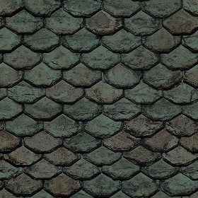 Textures   -   ARCHITECTURE   -   ROOFINGS   -  Slate roofs - Slate roofing texture seamless 03989