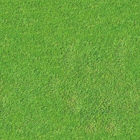 Textures   -   NATURE ELEMENTS   -   VEGETATION   -  Green grass - Artificial green grass texture seamless 13063