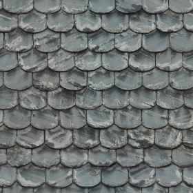 Textures   -   ARCHITECTURE   -   ROOFINGS   -  Slate roofs - Slate roofing texture seamless 03992