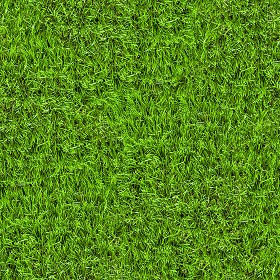 Textures   -   NATURE ELEMENTS   -   VEGETATION   -   Green grass  - Artificial green grass texture seamless 13064 (seamless)