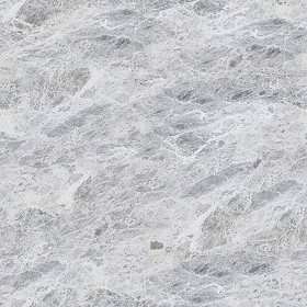Textures   -   ARCHITECTURE   -   MARBLE SLABS   -   Grey  - Bardiglio slab marble pbr texture seamless 22214 (seamless)