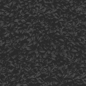 Textures   -   NATURE ELEMENTS   -   VEGETATION   -   Hedges  - Garden hedge pbr texture seamless 22172 - Specular
